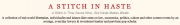 a stitch in haste